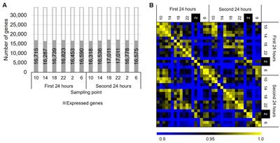 Diurnal Transcriptome and Gene Network Represented through Sparse Modeling in Brachypodium distachyon